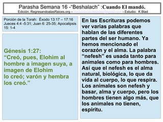 28
Parasha Semana 16 -“Beshalach” :Cuando El mandó.
Edición: RegresandoalasRaices.org – mesianicoscolombia@gmail.com - Estudio: K Blad
En las Escrituras podemos
ver varias palabras que
hablan de las diferentes
partes del ser humano. Ya
hemos mencionado el
corazón y el alma. La palabra
“nefesh” es usada tanto para
animales como para hombres.
Así que el nefesh es el alma
natural, biológica, lo que da
vida al cuerpo, lo que respira.
Los animales son nefesh y
basar, alma y cuerpo, pero los
hombres tienen algo más, que
los animales no tienen,
espíritu.
Génesis 1:27:
“Creó, pues, Elohim al
hombre a imagen suya, a
imagen de Elohim
lo creó; varón y hembra
los creó.”
Porción de la Torah: Éxodo 13:17 – 17:16
Jueces 4:4 -5:31; Juan 6: 25-35; Apocalipsis
15: 1-4
 