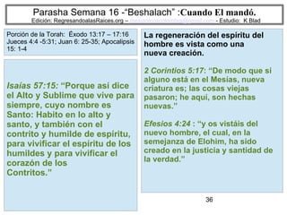 36
Parasha Semana 16 -“Beshalach” :Cuando El mandó.
Edición: RegresandoalasRaices.org – mesianicoscolombia@gmail.com - Estudio: K Blad
La regeneración del espíritu del
hombre es vista como una
nueva creación.
2 Corintios 5:17: “De modo que si
alguno está en el Mesías, nueva
criatura es; las cosas viejas
pasaron; he aquí, son hechas
nuevas.”
Efesios 4:24 : “y os vistáis del
nuevo hombre, el cual, en la
semejanza de Elohim, ha sido
creado en la justicia y santidad de
la verdad.”
Isaías 57:15: “Porque así dice
el Alto y Sublime que vive para
siempre, cuyo nombre es
Santo: Habito en lo alto y
santo, y también con el
contrito y humilde de espíritu,
para vivificar el espíritu de los
humildes y para vivificar el
corazón de los
Contritos.”
Porción de la Torah: Éxodo 13:17 – 17:16
Jueces 4:4 -5:31; Juan 6: 25-35; Apocalipsis
15: 1-4
 