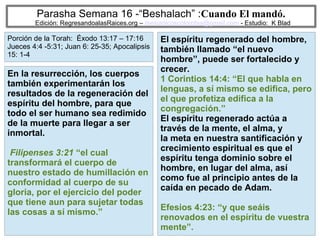 37
Parasha Semana 16 -“Beshalach” :Cuando El mandó.
Edición: RegresandoalasRaices.org – mesianicoscolombia@gmail.com - Estudio: K Blad
El espíritu regenerado del hombre,
también llamado “el nuevo
hombre”, puede ser fortalecido y
crecer.
1 Corintios 14:4: “El que habla en
lenguas, a sí mismo se edifica, pero
el que profetiza edifica a la
congregación.”
El espíritu regenerado actúa a
través de la mente, el alma, y
la meta en nuestra santificación y
crecimiento espiritual es que el
espíritu tenga dominio sobre el
hombre, en lugar del alma, así
como fue al principio antes de la
caída en pecado de Adam.
Efesios 4:23: “y que seáis
renovados en el espíritu de vuestra
mente”.
En la resurrección, los cuerpos
también experimentarán los
resultados de la regeneración del
espíritu del hombre, para que
todo el ser humano sea redimido
de la muerte para llegar a ser
inmortal.
Filipenses 3:21 “el cual
transformará el cuerpo de
nuestro estado de humillación en
conformidad al cuerpo de su
gloria, por el ejercicio del poder
que tiene aun para sujetar todas
las cosas a sí mismo.”
Porción de la Torah: Éxodo 13:17 – 17:16
Jueces 4:4 -5:31; Juan 6: 25-35; Apocalipsis
15: 1-4
 