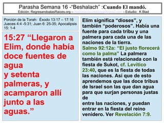 53
Parasha Semana 16 -“Beshalach” :Cuando El mandó.
Edición: RegresandoalasRaices.org – mesianicoscolombia@gmail.com - Estudio: K Blad
Elim significa “dioses”, y
también “poderosos”. Había una
fuente para cada tribu y una
palmera para cada una de las
naciones de la tierra.
Salmo 92:12a: “El justo florecerá
como la palma” La palmera
también está relacionada con la
fiesta de Sukot, cf. Levítico
23:40, que es la fiesta de todas
las naciones. Así que de esto
aprendemos que las doce tribus
de Israel son las que dan agua
para que surjan personas justas
de
entre las naciones, y puedan
entrar en la fiesta del reino
venidero. Ver Revelación 7:9.
15:27 “Llegaron a
Elim, donde había
doce fuentes de
agua
y setenta
palmeras, y
acamparon allí
junto a las
aguas.”
Porción de la Torah: Éxodo 13:17 – 17:16
Jueces 4:4 -5:31; Juan 6: 25-35; Apocalipsis
15: 1-4
 