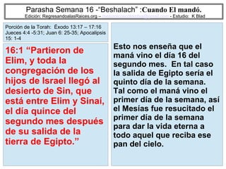 54
Parasha Semana 16 -“Beshalach” :Cuando El mandó.
Edición: RegresandoalasRaices.org – mesianicoscolombia@gmail.com - Estudio: K Blad
Esto nos enseña que el
maná vino el día 16 del
segundo mes. En tal caso
la salida de Egipto sería el
quinto día de la semana.
Tal como el maná vino el
primer día de la semana, así
el Mesías fue resucitado el
primer día de la semana
para dar la vida eterna a
todo aquel que reciba ese
pan del cielo.
16:1 “Partieron de
Elim, y toda la
congregación de los
hijos de Israel llegó al
desierto de Sin, que
está entre Elim y Sinaí,
el día quince del
segundo mes después
de su salida de la
tierra de Egipto.”
Porción de la Torah: Éxodo 13:17 – 17:16
Jueces 4:4 -5:31; Juan 6: 25-35; Apocalipsis
15: 1-4
 