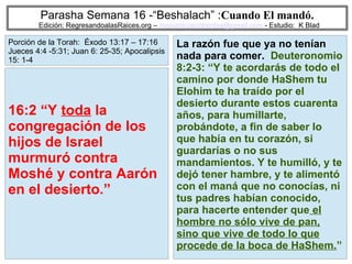 55
Parasha Semana 16 -“Beshalach” :Cuando El mandó.
Edición: RegresandoalasRaices.org – mesianicoscolombia@gmail.com - Estudio: K Blad
La razón fue que ya no tenían
nada para comer. Deuteronomio
8:2-3: “Y te acordarás de todo el
camino por donde HaShem tu
Elohim te ha traído por el
desierto durante estos cuarenta
años, para humillarte,
probándote, a fin de saber lo
que había en tu corazón, si
guardarías o no sus
mandamientos. Y te humilló, y te
dejó tener hambre, y te alimentó
con el maná que no conocías, ni
tus padres habían conocido,
para hacerte entender que el
hombre no sólo vive de pan,
sino que vive de todo lo que
procede de la boca de HaShem.”
16:2 “Y toda la
congregación de los
hijos de Israel
murmuró contra
Moshé y contra Aarón
en el desierto.”
Porción de la Torah: Éxodo 13:17 – 17:16
Jueces 4:4 -5:31; Juan 6: 25-35; Apocalipsis
15: 1-4
 