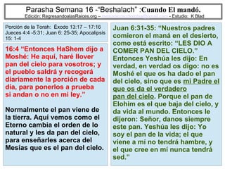 56
Parasha Semana 16 -“Beshalach” :Cuando El mandó.
Edición: RegresandoalasRaices.org – mesianicoscolombia@gmail.com - Estudio: K Blad
Juan 6:31-35: “Nuestros padres
comieron el maná en el desierto,
como está escrito: “LES DIO A
COMER PAN DEL CIELO.”
Entonces Yeshúa les dijo: En
verdad, en verdad os digo: no es
Moshé el que os ha dado el pan
del cielo, sino que es mi Padre el
que os da el verdadero
pan del cielo. Porque el pan de
Elohim es el que baja del cielo, y
da vida al mundo. Entonces le
dijeron: Señor, danos siempre
este pan. Yeshúa les dijo: Yo
soy el pan de la vida; el que
viene a mí no tendrá hambre, y
el que cree en mí nunca tendrá
sed.”
16:4 “Entonces HaShem dijo a
Moshé: He aquí, haré llover
pan del cielo para vosotros; y
el pueblo saldrá y recogerá
diariamente la porción de cada
día, para ponerlos a prueba
si andan o no en mi ley.”
Normalmente el pan viene de
la tierra. Aquí vemos como el
Eterno cambia el orden de lo
natural y les da pan del cielo,
para enseñarles acerca del
Mesías que es el pan del cielo.
Porción de la Torah: Éxodo 13:17 – 17:16
Jueces 4:4 -5:31; Juan 6: 25-35; Apocalipsis
15: 1-4
 