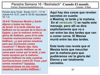 57
Parasha Semana 16 -“Beshalach” :Cuando El mandó.
Edición: RegresandoalasRaices.org – mesianicoscolombia@gmail.com - Estudio: K Blad
Aquí hay dos cosas que revelan
secretos en cuanto
a Mashíaj, la tarde y la mañana.
En el versículo 12 se repite este
mensaje, pero allí se dice
explícitamente que va a
ser entre las dos tardes que van
a comer carne. El Mesías
murió entre las dos tardes.
Este texto nos revela que el
Mesías tenía que resucitar
por la mañana para que
pudiéramos ver la gloria del
Eterno y ser totalmente
saciados.
16:6-8 “Entonces Moshé y Aarón
dijeron a todos los hijos
de Israel: A la tarde sabréis que
HaShem os ha sacado de la tierra de
Egipto; y por la mañana veréis la
gloria de HaShem, pues él ha oído
vuestras murmuraciones contra
HaShem; ¿y qué somos nosotros
para que murmuréis contra
nosotros? Y Moshé dijo: Esto
sucederá cuando HaShem os dé
carne para comer por la tarde, y pan
hasta saciaros por la mañana;
porque HaShem ha oído vuestras
murmuraciones contra Él. Pues ¿qué
somos nosotros? Vuestras
murmuraciones no son contra
nosotros, sino contra HaShem.”
Porción de la Torah: Éxodo 13:17 – 17:16
Jueces 4:4 -5:31; Juan 6: 25-35; Apocalipsis
15: 1-4
 