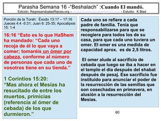 60
Parasha Semana 16 -“Beshalach” :Cuando El mandó.
Edición: RegresandoalasRaices.org – mesianicoscolombia@gmail.com - Estudio: K Blad
Cada uno se refiere a cada
padre de familia. Tenía que
responsabilizarse para que se
recogiera para todos los de su
casa, para que cada uno tuviera un
omer. El omer es una medida de
capacidad aprox. es de 2,5 litros.
El omer alude al sacrificio de
cebada que luego se iba a hacer en
el templo el día después del shabat
después de pesaj. Ese sacrificio fue
instituido para anunciar el poder de
la resurrección de las semillas que
son cosechadas en primavera, en
alusión a la resurrección del
Mesías.
16:16 “Esto es lo que HaShem
ha mandado: “Cada uno
recoja de él lo que vaya a
comer; tomaréis un ómer por
cabeza, conforme al número
de personas que cada uno de
vosotros tiene en su tienda.”
1 Corintios 15:20:
“Mas ahora el Mesías ha
resucitado de entre los
muertos, primicias
(referencia al ómer de
cebada) de los que
durmieron.”
Porción de la Torah: Éxodo 13:17 – 17:16
Jueces 4:4 -5:31; Juan 6: 25-35; Apocalipsis
15: 1-4
 