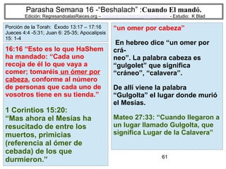 61
Parasha Semana 16 -“Beshalach” :Cuando El mandó.
Edición: RegresandoalasRaices.org – mesianicoscolombia@gmail.com - Estudio: K Blad
“un omer por cabeza”
En hebreo dice “un omer por
crá-
neo”. La palabra cabeza es
“gulgolet” que significa
“cráneo”, “calavera”.
De allí viene la palabra
“Gulgolta” el lugar donde murió
el Mesías.
Mateo 27:33: “Cuando llegaron a
un lugar llamado Gulgolta, que
significa Lugar de la Calavera”
16:16 “Esto es lo que HaShem
ha mandado: “Cada uno
recoja de él lo que vaya a
comer; tomaréis un ómer por
cabeza, conforme al número
de personas que cada uno de
vosotros tiene en su tienda.”
1 Corintios 15:20:
“Mas ahora el Mesías ha
resucitado de entre los
muertos, primicias
(referencia al ómer de
cebada) de los que
durmieron.”
Porción de la Torah: Éxodo 13:17 – 17:16
Jueces 4:4 -5:31; Juan 6: 25-35; Apocalipsis
15: 1-4
 