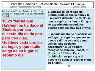 68
Parasha Semana 16 -“Beshalach” :Cuando El mandó.
Edición: RegresandoalasRaices.org – mesianicoscolombia@gmail.com - Estudio: K Blad
El Shabat es un regalo del
Eterno. Sólo el que lo abra y lo
use podrá disfrutar de él. No se
puede explicar la bendición que
se experimenta cuando se
guarda este día, hay que vivirla.
El mandamiento de quedarse en
su lugar no significa que no se
puede salir de su casa, como
vemos más adelante
encontraron a un hombre
recogiendo leña en Shabat, cf.
Números 15:32ss. Esta
prohibición es para que el
pueblo no salga a recoger maná
en Shabat.
16:29 “Mirad que
HaShem os ha dado el
Shabat; por eso
el sexto día os da pan
para dos días.
Quédese cada uno en
su lugar, y que nadie
salga de su lugar el
séptimo día.”
Porción de la Torah: Éxodo 13:17 – 17:16
Jueces 4:4 -5:31; Juan 6: 25-35; Apocalipsis
15: 1-4
 