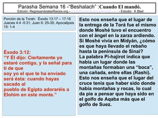 7
Parasha Semana 16 -“Beshalach” :Cuando El mandó.
Edición: RegresandoalasRaices.org – mesianicoscolombia@gmail.com - Estudio: K Blad
Esto nos enseña que el lugar de
la entrega de la Torá fue el mismo
donde Moshé tuvo el encuentro
con el ángel en la zarza ardiendo.
Si Moshé vivía en Midyán, ¿cómo
es que haya llevado el rebaño
hasta la península de Sinai?
La palabra Pi-hajirot indica que
había un lugar donde las
montañas formaban una “boca”,
una cañada, entre ellas (Rashí).
Esto nos enseña que el lugar del
cruce tenía que haber sido donde
había montañas y rocas, lo cual
da pie a pensar que haya sido en
el golfo de Aqaba más que el
golfo de Suez.
Éxodo 3:12:
“Y Él dijo: Ciertamente yo
estaré contigo, y la señal para
ti de que
soy yo el que te ha enviado
será ésta: cuando hayas
sacado al
pueblo de Egipto adoraréis a
Elohim en este monte.”
Porción de la Torah: Éxodo 13:17 – 17:16
Jueces 4:4 -5:31; Juan 6: 25-35; Apocalipsis
15: 1-4
 