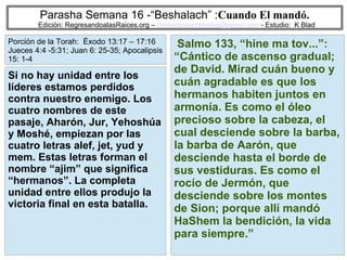 77
Parasha Semana 16 -“Beshalach” :Cuando El mandó.
Edición: RegresandoalasRaices.org – mesianicoscolombia@gmail.com - Estudio: K Blad
Salmo 133, “hine ma tov...”:
“Cántico de ascenso gradual;
de David. Mirad cuán bueno y
cuán agradable es que los
hermanos habiten juntos en
armonía. Es como el óleo
precioso sobre la cabeza, el
cual desciende sobre la barba,
la barba de Aarón, que
desciende hasta el borde de
sus vestiduras. Es como el
rocío de Jermón, que
desciende sobre los montes
de Sion; porque allí mandó
HaShem la bendición, la vida
para siempre.”
Si no hay unidad entre los
líderes estamos perdidos
contra nuestro enemigo. Los
cuatro nombres de este
pasaje, Aharón, Jur, Yehoshúa
y Moshé, empiezan por las
cuatro letras alef, jet, yud y
mem. Estas letras forman el
nombre “ajim” que significa
“hermanos”. La completa
unidad entre ellos produjo la
victoria final en esta batalla.
Porción de la Torah: Éxodo 13:17 – 17:16
Jueces 4:4 -5:31; Juan 6: 25-35; Apocalipsis
15: 1-4
 
