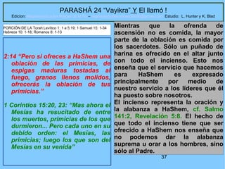 37
PARASHÁ 24 “Vayikra” Y El llamó !
Edicion: Regresando a las Raices de la Fe – regresandoalasraicesdelafe@gmail.com Estudio: L. Hunter y K. Blad
2:14 “Pero si ofreces a HaShem una
oblación de las primicias, de
espigas maduras tostadas al
fuego, granos llenos molidos,
ofrecerás la oblación de tus
primicias.”
1 Corintios 15:20, 23: “Mas ahora el
Mesías ha resucitado de entre
los muertos, primicias de los que
durmieron... Pero cada uno en su
debido orden: el Mesías, las
primicias; luego los que son del
Mesías en su venida”
Mientras que la ofrenda de
ascensión no es comida, la mayor
parte de la oblación es comida por
los sacerdotes. Sólo un puñado de
harina es ofrecido en el altar junto
con todo el incienso. Esto nos
enseña que el servicio que hacemos
para HaShem es expresado
principalmente por medio de
nuestro servicio a los líderes que él
ha puesto sobre nosotros.
El incienso representa la oración y
la alabanza a HaShem, cf. Salmo
141:2, Revelación 5:8. El hecho de
que todo el incienso tiene que ser
ofrecido a HaShem nos enseña que
no podemos dar la alabanza
suprema u orar a los hombres, sino
sólo al Padre.
PORCIÓN DE LA Torah:Levítico 1: 1 a 5:19; 1 Samuel 15: 1-34
Hebreos 10: 1-18; Romanos 8: 1-13
 
