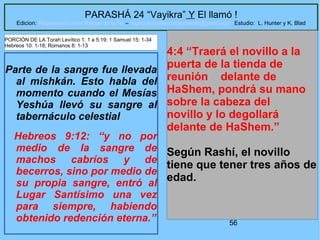 56
PARASHÁ 24 “Vayikra” Y El llamó !
Edicion: Regresando a las Raices de la Fe – regresandoalasraicesdelafe@gmail.com Estudio: L. Hunter y K. Blad
Parte de la sangre fue llevada
al mishkán. Esto habla del
momento cuando el Mesías
Yeshúa llevó su sangre al
tabernáculo celestial
Hebreos 9:12: “y no por
medio de la sangre de
machos cabríos y de
becerros, sino por medio de
su propia sangre, entró al
Lugar Santísimo una vez
para siempre, habiendo
obtenido redención eterna.”
4:4 “Traerá el novillo a la
puerta de la tienda de
reunión delante de
HaShem, pondrá su mano
sobre la cabeza del
novillo y lo degollará
delante de HaShem.”
Según Rashí, el novillo
tiene que tener tres años de
edad.
PORCIÓN DE LA Torah:Levítico 1: 1 a 5:19; 1 Samuel 15: 1-34
Hebreos 10: 1-18; Romanos 8: 1-13
 