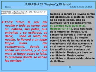 57
PARASHÁ 24 “Vayikra” Y El llamó !
Edicion: Regresando a las Raices de la Fe – regresandoalasraicesdelafe@gmail.com Estudio: L. Hunter y K. Blad
4:11-12 “Pero la piel del
novillo y toda su carne, con
su cabeza, sus patas, sus
entrañas y su estiércol, es
decir, todo el resto del
novillo, lo llevará a un lugar
limpio fuera del
campamento, donde se
echan las cenizas, y lo que
mará al fuego sobre la leña;
lo quemará donde se echan
las cenizas.”
Cuando la sangre es llevada dentro
del tabernáculo, el resto del animal
no se puede comer, sino es
quemado fuera del campamento,
cf. Levítico 4:21; 6:30; 16:27,
Hebreos 13:11-12. Esto nos habla
de la muerte del Mesías, cuya
sangre fue llevada al interior del
santuario celestial. Su muerte
ocurrió fuera de las murallas de la
ciudad cerca del altar que estaba
en el monte de los olivos. Todos
los sacrificios son sombras del
sacrificio del Mesías, y a base del
sacrificio del Mesías, estos
sacrificios obtienen validez delante
de HaShem.
PORCIÓN DE LA Torah:Levítico 1: 1 a 5:19; 1 Samuel 15: 1-34
Hebreos 10: 1-18; Romanos 8: 1-13
 
