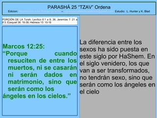 17
PARASHÁ 25 “TZAV” Ordena
Edicion: Regresando a las Raices de la Fe – regresandoalasraicesdelafe@gmail.com Estudio: L. Hunter y K. Blad
Marcos 12:25:
“Porque cuando
resuciten de entre los
muertos, ni se casarán
ni serán dados en
matrimonio, sino que
serán como los
ángeles en los cielos.”
La diferencia entre los
sexos ha sido puesta en
este siglo por HaShem. En
el siglo venidero, los que
van a ser transformados,
no tendrán sexo, sino que
serán como los ángeles en
el cielo
PORCIÓN DE LA Torah: Levítico 6:1 a 8: 36; Jeremías 7: 21 a
8:3; Ezequiel 36: 16-38; Hebreos 13: 10-16
 