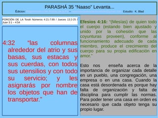 5
PARASHÁ 35 “Naaso” Levanta...
Edicion: Regresando a las Raices de la Fe – regresandoalasraicesdelafe@gmail.com Estudio: K. Blad
4:32 “las columnas
alrededor del atrio y sus
basas, sus estacas y
sus cuerdas, con todos
sus utensilios y con todo
su servicio; y les
asignarás por nombre
los objetos que han de
transportar.”
Efesios 4:16: “(Mesías) de quien todo
el cuerpo (estando bien ajustado y
unido por la cohesión que las
coyunturas proveen), conforme al
funcionamiento adecuado de cada
miembro, produce el crecimiento del
cuerpo para su propia edificación en
amor.”
Esto nos enseña acerca de la
importancia de organizar cada detalle
en un pueblo, una congregación, una
empresa o en una casa. Cuando la
casa está desordenada es porque hay
falta de organización y falta de
disciplina para cumplir las normas.
Para poder tener una casa en orden es
necesario que cada objeto tenga su
propio lugar.
PORCIÓN DE LA Torah Números 4:21-7:89 / Jueces 13:2-25 /
Juan 3:1 – 4:54
 