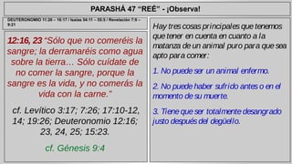 PARASHÁ 47 “REÉ” - ¡Observa! 
12:16, 23 “Sólo que no comeréis la 
sangre; la derramaréis como agua 
sobre la tierra… Sólo cuídate de 
no comer la sangre, porque la 
sangre es la vida, y no comerás la 
vida con la carne.” 
cf. Levítico 3:17; 7:26; 17:10-12, 
14; 19:26; Deuteronomio 12:16; 
23, 24, 25; 15:23. 
cf. Génesis 9:4 
Hay tres cosas principales que tenemos 
que tener en cuenta en cuanto a la 
matanza de un animal puro para que sea 
apto para comer: 
1. No puede ser un animal enfermo. 
2. No puede haber sufrido antes o en el 
momento de su muerte. 
3. Tiene que ser totalmente desangrado 
justo después del degüello. 
DEUTERONOMIO 11:26 – 16:17 / Isaías 54:11 – 55:5 / Revelación 7:9 – 
9:21 
 