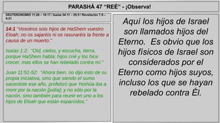 PARASHÁ 47 “REÉ” - ¡Observa! 
14:1 “Vosotros sois hijos de HaShem vuestro 
Eloah; no os sajaréis ni os rasuraréis la frente a 
causa de un muerto.” 
Isaías 1:2: “Oíd, cielos, y escucha, tierra, 
porque HaShem habla: hijos crié y los hice 
crecer, mas ellos se han rebelado contra mí.” 
Juan 11:51-52: “Ahora bien, no dijo esto de su 
propia iniciativa, sino que siendo el sumo 
sacerdote ese año, profetizó que Yeshúa iba a 
morir por la nación [judía]; y no sólo por la 
nación, sino también para reunir en uno a los 
hijos de Eloah que están esparcidos.” 
Aquí los hijos de Israel 
son llamados hijos del 
Eterno. Es obvio que los 
hijos físicos de Israel son 
considerados por el 
Eterno como hijos suyos, 
incluso los que se hayan 
rebelado contra Él. 
DEUTERONOMIO 11:26 – 16:17 / Isaías 54:11 – 55:5 / Revelación 7:9 – 
9:21 
 