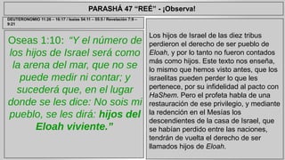 PARASHÁ 47 “REÉ” - ¡Observa! 
Oseas 1:10: “Y el número de 
los hijos de Israel será como 
la arena del mar, que no se 
puede medir ni contar; y 
sucederá que, en el lugar 
donde se les dice: No sois mi 
pueblo, se les dirá: hijos del 
Eloah viviente.” 
Los hijos de Israel de las diez tribus 
perdieron el derecho de ser pueblo de 
Eloah, y por lo tanto no fueron contados 
más como hijos. Este texto nos enseña, 
lo mismo que hemos visto antes, que los 
israelitas pueden perder lo que les 
pertenece, por su infidelidad al pacto con 
HaShem. Pero el profeta habla de una 
restauración de ese privilegio, y mediante 
la redención en el Mesías los 
descendientes de la casa de Israel, que 
se habían perdido entre las naciones, 
tendrán de vuelta el derecho de ser 
llamados hijos de Eloah. 
DEUTERONOMIO 11:26 – 16:17 / Isaías 54:11 – 55:5 / Revelación 7:9 – 
9:21 
 