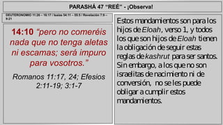 PARASHÁ 47 “REÉ” - ¡Observa! 
14:10 “pero no comeréis 
nada que no tenga aletas 
ni escamas; será impuro 
para vosotros.” 
Romanos 11:17, 24; Efesios 
2:11-19; 3:1-7 
Estos mandamientos son para los 
hijos de Eloah, verso 1, y todos 
los que son hijos de Eloah tienen 
la obligación de seguir estas 
reglas de kashrut para ser santos. 
Sin embargo, a los que no son 
israelitas de nacimiento ni de 
conversión, no se les puede 
obligar a cumplir estos 
mandamientos. 
DEUTERONOMIO 11:26 – 16:17 / Isaías 54:11 – 55:5 / Revelación 7:9 – 
9:21 
 