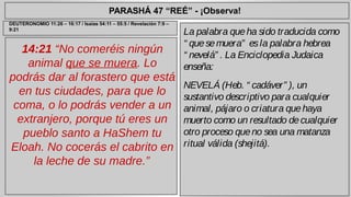 PARASHÁ 47 “REÉ” - ¡Observa! 
14:21 “No comeréis ningún 
animal que se muera. Lo 
podrás dar al forastero que está 
en tus ciudades, para que lo 
coma, o lo podrás vender a un 
extranjero, porque tú eres un 
pueblo santo a HaShem tu 
Eloah. No cocerás el cabrito en 
la leche de su madre.” 
La palabra que ha sido traducida como 
“ que se muera” es la palabra hebrea 
“ nevelá” . La Enciclopedia Judaica 
enseña: 
NEVELÁ (Heb. “ cadáver” ), un 
sustantivo descriptivo para cualquier 
animal, pájaro o criatura que haya 
muerto como un resultado de cualquier 
otro proceso que no sea una matanza 
ritual válida (shejitá). 
DEUTERONOMIO 11:26 – 16:17 / Isaías 54:11 – 55:5 / Revelación 7:9 – 
9:21 
 