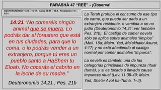 PARASHÁ 47 “REÉ” - ¡Observa! 
14:21 “No comeréis ningún 
animal que se muera. Lo 
podrás dar al forastero que está 
en tus ciudades, para que lo 
coma, o lo podrás vender a un 
extranjero, porque tú eres un 
pueblo santo a HaShem tu 
Eloah. No cocerás el cabrito en 
la leche de su madre.” 
Deuteronomio 14:21 ; Pes. 21b 
La Torah prohíbe el consumo de ese tipo 
de carne, que puede ser dada a un 
extranjero residente, o vendida a un no 
judío (Deuteronomio 14:21; ver también 
Pes. 21b). El castigo de comer nevelá 
sólo se aplica sobre animales “limpios” 
(Meil. 16a; Maim. Yad, Ma’akhalot Asurot, 
4:17) y no está añadiendo al castigo 
normal por comer animales “impuros”. 
La nevelá es también una de las 
categorías principales de impureza ritual 
(tumá), y si es tocada o llevada causa 
impureza ritual (Lev. 11:39-40; Maim. 
Yad, She’ar Avot ha-Tumá, 1–3). 
DEUTERONOMIO 11:26 – 16:17 / Isaías 54:11 – 55:5 / Revelación 7:9 – 
9:21 
 