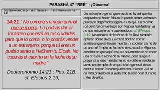 PARASHÁ 47 “REÉ” - ¡Observa! 
14:21 “ No comeréis ningún animal 
que se muera. Lo podrás dar al 
forastero que está en tus ciudades, 
para que lo coma, o lo podrás vender 
a un extranjero, porque tú eres un 
pueblo santo a HaShem tu Eloah. No 
cocerás el cabrito en la leche de su 
madre.” 
Deuteronomio 14:21 ; Pes. 21B; 
cf. Efesios 2:19, 
Un extranjero gentil que reside en Israel que ha 
aceptado no hacer idolatría puede comer animales 
puros no degollados según la Halajá. Pero como 
los gentiles convertidos por Yeshúa HaMashiaj ya 
no son extranjeros ni advenedizos, cf. Efesios 
2:19, las normas de kashrut de la Torá también 
aplican sobre ellos. Ellos no podrán comer 
animales que se hayan muerto, ni cocinar carne de 
un animal limpio en la leche de su madre. Algunos 
consideran que aquí se trata solamente de no cocer 
una cria en la leche de su madre, pero surge la 
pregunta si este mandamiento no debe entenderse 
como un ejemplo de un principio general de no 
cocer o comer la carne junto con la leche. Así se 
ha interpretado en el judaísmo tradicional durante 
miles de años. 
DEUTERONOMIO 11:26 – 16:17 / Isaías 54:11 – 55:5 / Revelación 7:9 – 
9:21 
 