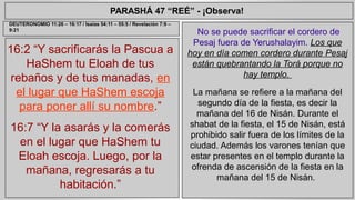 PARASHÁ 47 “REÉ” - ¡Observa! 
16:2 “Y sacrificarás la Pascua a 
HaShem tu Eloah de tus 
rebaños y de tus manadas, en 
el lugar que HaShem escoja 
para poner allí su nombre.” 
16:7 “Y la asarás y la comerás 
en el lugar que HaShem tu 
Eloah escoja. Luego, por la 
mañana, regresarás a tu 
habitación.” 
No se puede sacrificar el cordero de 
Pesaj fuera de Yerushalayim. Los que 
hoy en día comen cordero durante Pesaj 
están quebrantando la Torá porque no 
hay templo. 
La mañana se refiere a la mañana del 
segundo día de la fiesta, es decir la 
mañana del 16 de Nisán. Durante el 
shabat de la fiesta, el 15 de Nisán, está 
prohibido salir fuera de los límites de la 
ciudad. Además los varones tenían que 
estar presentes en el templo durante la 
ofrenda de ascensión de la fiesta en la 
mañana del 15 de Nisán. 
DEUTERONOMIO 11:26 – 16:17 / Isaías 54:11 – 55:5 / Revelación 7:9 – 
9:21 
 