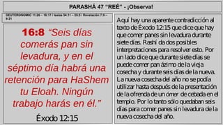 PARASHÁ 47 “REÉ” - ¡Observa! 
16:8 “Seis días 
comerás pan sin 
levadura, y en el 
séptimo día habrá una 
retención para HaShem 
tu Eloah. Ningún 
trabajo harás en él.” 
Éxodo 12:15 
Aquí hay una aparente contradicción al 
texto de Éxodo 12:15 que dice que hay 
que comer panes sin levadura durante 
siete días. Rashí da dos posibles 
interpretaciones para resolver esto. Por 
un lado dice que durante siete días se 
puede comer pan ázimo de la vieja 
cosecha y durante seis días de la nueva. 
La nueva cosecha del año no se podía 
utilizar hasta después de la presentación 
de la ofrenda de un ómer de cebada en el 
templo. Por lo tanto sólo quedaban seis 
días para comer panes sin levadura de la 
nueva cosecha del año. 
DEUTERONOMIO 11:26 – 16:17 / Isaías 54:11 – 55:5 / Revelación 7:9 – 
9:21 
 