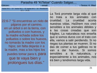 Edicion: http://regresandoalasraices.org - email: info@regresandoalasraices.org - Textos: K. Blad. 
21 
Parasha 49 “KiTetse” Cuando Salgas.... 
22:6-7 “Si encuentras un nido de 
pájaros por el camino, 
en un árbol o en la tierra, con 
polluelos o con huevos, y 
la madre echada sobre los 
polluelos o sobre los huevos, 
no tomarás la madre con los 
hijos; sin falta dejarás ir a 
la madre, mas a los hijos los 
puedes tomar para ti, para 
que te vaya bien y 
prolongues tus días.” 
La Torá promete larga vida al que 
no trata a los animales con 
crueldad. La crueldad acorta 
nuestras vidas. HaShem nos creó 
sensibles a los animales débiles y 
a las cosas creadas que son 
frágiles. La naturaleza nos enseña 
que si somos duros con el trato con 
ella, vamos a salir perdiendo. Si no 
riegas tus plantas se mueren. Si no 
das de comer a tus gallinas no te 
van a dar huevos. Si somos 
sensibles a la naturaleza, y 
especialmente a los animales, nos 
irá bien y tendremos larga vida. 
Isaías 54:1 – 10 - Isaías 54:1 – 10 -Isaías 54:1 – 10 - Revelación 
12:1 – 14:20 
 