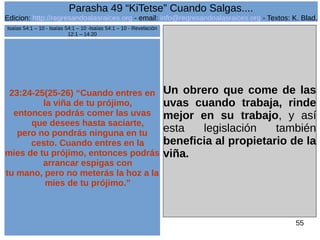 Edicion: http://regresandoalasraices.org - email: info@regresandoalasraices.org - Textos: K. Blad. 
55 
Parasha 49 “KiTetse” Cuando Salgas.... 
23:24-25(25-26) “Cuando entres en 
la viña de tu prójimo, 
entonces podrás comer las uvas 
que desees hasta saciarte, 
pero no pondrás ninguna en tu 
cesto. Cuando entres en la 
mies de tu prójimo, entonces podrás 
arrancar espigas con 
tu mano, pero no meterás la hoz a la 
mies de tu prójimo.” 
Un obrero que come de las 
uvas cuando trabaja, rinde 
mejor en su trabajo, y así 
esta legislación también 
beneficia al propietario de la 
viña. 
Isaías 54:1 – 10 - Isaías 54:1 – 10 -Isaías 54:1 – 10 - Revelación 
12:1 – 14:20 
 
