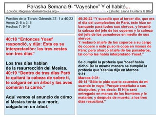 43
Parasha Semana 9- “Vayeshev” Y el habitó...
Edición: RegresandoalasRaices.org – mesianicoscolombia@gmail.com - Estudio: Liiana Hunter y K Blad
40:20-22 “Y sucedió que al tercer día, que era
el día del cumpleaños de Paró, éste hizo un
banquete para todos sus siervos, y levantó
la cabeza del jefe de los coperos y la cabeza
del jefe de los panaderos en medio de sus
siervos.
Y restauró al jefe de los coperos a su cargo
de copero y éste puso la copa en manos de
Paró; pero ahorcó al jefe de los panaderos,
tal como les había interpretado Yosef.”
Se cumplió la profecía que Yosef había
dicho. De la misma manera se cumplió la
profecía que Yeshúa dijo en Marcos
9:31
Marcos 9:31:
40:14 “Sólo te pido que te acuerdes de mí
cuando te vaya “Porque enseñaba a sus
discípulos, y les decía: El Hijo será
entregado en manos de los hombres y le
matarán; y después de muerto, a los tres
días resucitará.”
Porción de la Torah: Génesis 25:19 a
28: 9
Malaquias 1: 1 a 2: 7; Romanos 9: 6: 16
Hebreos 11: 20; 12: 14
40:18 “Entonces Yosef
respondió, y dijo: Esta es su
interpretación: las tres cestas
son tres días”
Los tres días hablan
de la resurrección del Mesías.
40:19 “Dentro de tres días Paró
te quitará la cabeza de sobre ti,
te colgará en un árbol y las aves
comerán tu carne.”
Aquí vemos el anuncio de cómo
el Mesías tenía que morir,
colgado en un árbol.
Porción de la Torah: Génesis 25:19 a
28: 9
Malaquias 1: 1 a 2: 7; Romanos 9: 6: 16
Hebreos 11: 20; 12: 14
Porción de la Torah: Génesis 37: 1 a 40:23
Amos 2: 6 a 3: 8
Hechos 7: 9-16
 
