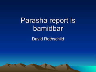 Parasha report is bamidbar David Rothschild 