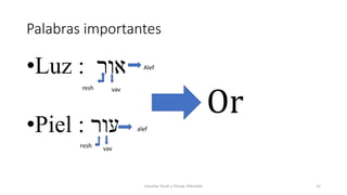 Palabras importantes
•Luz : ‫אור‬
•Piel : ‫עור‬
Alef
vavresh
alef
vav
Estudiar Torah y Pensar diferente 12
Or
 