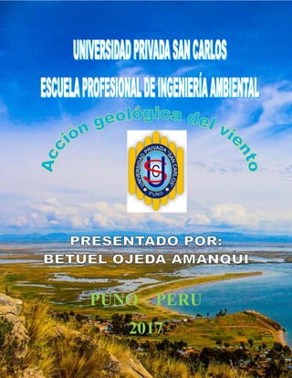PUNO – PERU
2017
 