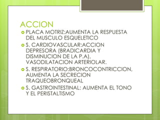 ACCION
 PLACA   MOTRIZ:AUMENTA LA RESPUESTA
  DEL MUSCULO ESQUELETICO
 S. CARDIOVASCULAR:ACCION
  DEPRESORA (BRADICARDIA Y
  DISMINUCION DE LA P.A),
  VASODILATACION ARTERIOLAR.
 S. RESPIRATORIO:BRONCOCONTRICCION,
  AUMENTA LA SECRECION
  TRAQUEOBRONQUEAL
 S. GASTROINTESTINAL: AUMENTA EL TONO
  Y EL PERISTALTISMO
 