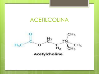 ACETILCOLINA
 