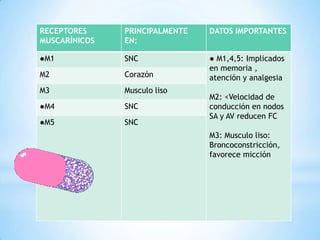 RECEPTORES
MUSCARÍNICOS
PRINCIPALMENTE
EN:
DATOS IMPORTANTES
●M1 SNC ● M1,4,5: Implicados
en memoria ,
atención y analgesia
M2: <Velocidad de
conducción en nodos
SA y AV reducen FC
M3: Musculo liso:
Broncoconstricción,
favorece micción
M2 Corazón
M3 Musculo liso
●M4 SNC
●M5 SNC
 