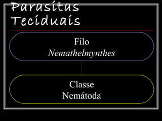 Parasitas
Teciduais
         Filo
    Nemathelmynthes


        Classe
       Nemátoda
 