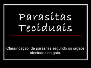 Parasitas
      Teciduais
Classificação de parasitas segundo os órgãos
              afectados no gato.
 