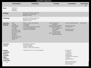 Aparelho Digestivo
              Protozoários                            Nemátodos                             Cestodos                   Tremátodos                Acantocéfal
                                                                                                                                                       os
Boca         Trichomonas




    Parasitas Teciduais
             felistomae
             (flagelados)

Esófago                             Gnathostoma spinigerm (spirurida)
                                    Physaloptera spp (spirurida)
                                    Ollulanus tricuspis

Estômago                            Gnathostoma spinigerm (spirurida)
                                    Physaloptera spp (spirurida)
                                    Ollulanus tricuspis

Intestino    I.felis,               T.gati e T. leonina (ascaridoidea)             Taenia taeniaeformis           Alaria spp.( diplosmatidae);   Oncicola spp
             I. revolta,            A. tubaeforme,                                        (taeniidae);
Delgado      Besnoitia spp,         A. braziliense,                                E multilocularis (taenidae);   A.venustus e P. longa
             H. hammondi,           U. Stenocephala (Ancylostomatoidea);           D. caninum (Dipyliidae);       (Heterophyidae);
             T. Gondii              S. stercoralis ( Rhadbitida);                         Mesocestoides latus e
             (coccidios);           T.Spiralis (trichinelloidea);                         mesacestoides           Mesotephanus spp
             Sarcocystis hirsuta,                                                         variabilis              (Cyathocotylidae)
             Sarcocystis tenella,                                                         (mesocestoididae);
             Sarcocystis                                                           Spirometra Mansonoides
             porcifelis,                                                                  (Diphyllobothriidae)
              Sarcocystis
             leporum(coccidios);
             Giardia spp;
             C. felis.



Intestino                           Strongyloides tumefaciens,
                                    S felis (Rhadbitida);
Grosso                              Trichuris campunula,
                                    Trichuris serrata (Trichinolloidea)

Fígado,                             C. hepaticum, larvas de T canis, granulomas.                                  O. tenuicollis,
                                                                                                                   M. albidus,
Condutos                                                                                                           M. conjuncyus,
biliares,                                                                                                          Amphimerus
Vesícula                                                                                                          pseudofelineus,
                                                                                                                   Paramethorchis complexus,
biliar                                                                                                            C. Sinensis
Conduto                                                                                                           (Opisthorchiidae);
pancreátic
                                                                                                                  Platunosomum fastosum,
      o.                                                                                                          Eurytrema procyonis
                                                                                                                  (Dicrocoeliidae)
 