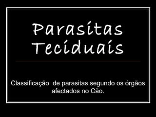 Parasitas
      Teciduais
Classificação de parasitas segundo os órgãos
              afectados no Cão.
 