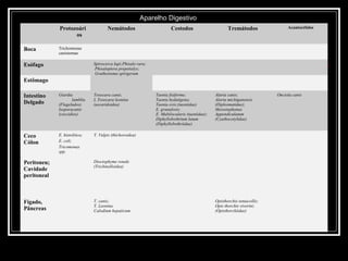 Aparelho Digestivo
             Protozoári               Nemátodos                        Cestodos                        Tremátodos                Acantocéfalos




Parasitas Teciduais
                   os

Boca         Trichomonas
             canistomae

Esófago                        Spirocerca lupi;Phisalo rara;
                                Phisaloptera prepetialys;
                                Grathostoma spirigerum
Estômago

Intestino    Giardia           Toxocara canis;                 Taenia fisiforme;                Alaria canis;               Onciola canis
                    lamblia    L Toxocara leonina              Taenia hydatigena;               Alaria michiganensis
Delgado      (Flagelados)      (ascaridoidea)                  Taenia ovis;(taeniidae)          (Diplosmatidae);
             Isoporacanis                                      E. granulosis;                   Mesostephanus
             (coccidios)                                       E. Multilocularis (taeniidae);   Appendiculatum
                                                               Diphyllobothrium latum           (Cyathocotylidae)
                                                               (Diphyllobothriidae)

Ceco         E. histolitica;   T. Vulpis (thichoroidea)
Cólon        E. coli;
             Tricomonas
             spp.

Peritoneu;                     Dioctophyme renale
                               (Trichinelloidea)
Cavidade
peritoneal



Fígado,                        T. canis;                                                        Opisthorchis tenuicollis;
                               T. Leonina                                                       Opis thorchis viverini;
Pâncreas                       Calodium hepaticum                                               (Opisthorchiidae)
 