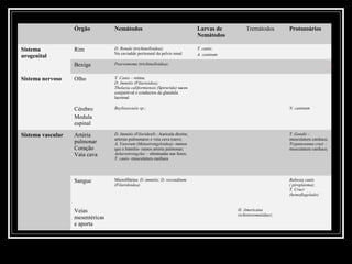 Órgão          Nemátodos                                    Larvas de        Tremátodos        Protozoários



 Parasitas Teciduais
                                                                               Nemátodos

Sistema            Rim            D. Renale (trichinelloidea);                 T. canis;
                                  Na caviadde peritoneal da pelvis renal       A. caninum
urogenital
                   Bexiga         Pearsomema (trichinelloidea);


Sistema nervoso    Olho           T. Canis – retina;
                                  D. Immitis (Filarioidea);
                                  Thelazia califormiensis (Spirurida) sacos
                                  conjuntival e conductos da glandula
                                  lacrimal

                   Cérebro        Baylisascaeis sp.;                                                              N. caninum

                   Medula
                   espinal
Sistema vascular   Artéria        D. Immitis (Filoridea9;- Auricula direita;                                      T. Gondii –
                                  arterias pulmonares e veia cava (raro);                                         musculatura cardiaca;
                   pulmonar       A. Vasorum (Metastrongyloidea)- menos                                           Trypanosama cruzi –
                   Coração        que a Immitis- ramos arteria pulmonar;                                          musculatura cardiaca;
                   Vaia cava      Aelurostrongylus – eliminadas nas fezes;
                                  T. canis- musculatura cardiaca




                   Sangue         Microfilárias: D. immitis; D. reconditum                                        Babesia canis
                                  (Filaridoidea)                                                                  ( piroplasma);
                                                                                                                  T. Cruci
                                                                                                                  (hemoflagelado)


                   Veias                                                                    H. Americana
                                                                                            (schistosomatidae);
                   mesentéricas
                   e aporta
 