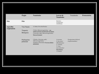 Órgão         Nemátodos                                   Larvas de             Tremátodos            Protozoários
                                                                         Nemátodos

Pele           Pele                                                      Rhabditis
                                                                         strongyloides
                                                                         (rhabditida)

Aparelho       Vias Nasais   E. Bohmi (Tricchinelloidea)
respiratório
               Traqueia;     F.Osleri (Metrastrongyloidea) – nos
                             nódulos próximo da bifurcação da traquia;
               Brônquios     Crenosoma vulpis (Metrastrongyloidea);
                             Mucosa bronquial



               Parênquima    F.Hirthi e Filaroides milksi                A.vasorum;        Paraguonimus kellicotti
                             (Metrastrongyloidea);                       S. Stercolaris    (troglotrematidae);
               pulmonar
                             D.Immitis (Filariaidea) Provoca enfartes    (Rhabditoidea);
                             pulmonares                                  A. caninum;
                                                                         T. Canis
                                                                         (ascaridoiedae)
                                                                         Microfilarias
                                                                          D. Immitis
 