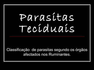 Parasitas
      Teciduais
Classificação de parasitas segundo os órgãos
          afectados nos Ruminantes.
 