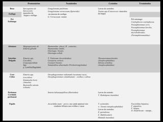 Protozoários                             Nemátodos                              Cestodos                          Tremátodos

  Boca       Sarcoquistes de         Gongylonema pulchrum;                            Larvas de cestodos:
             Sarcocystis;            Gongylonema verrucozum;(Spirurida);              Taenia spp.(Cisticercos)- musculos
 Esófago     musculos da                                                              da lingua
                                     -na mucosa do esofago.
             lingua e esófago
                                     G. Verrucozum -rumen
   Pré                                                                                                                     Pré estomago:
Estômago                                                                                                                   Cotylophoron cotylophoron,
                                                                                                                           Paranphistomun cervi,
                                                                                                                           Paranphistomun liorchis,
                                                                                                                           Paranphistomun
                                                                                                                           microbothroides;
                                                                                                                           (Paramphistomatidae)-




Abomaso      Megasquizontes de       Haemonshus placei, H. contortus ,
             Eimeria gilruthi        Haemonshus similis,
                                     Ostertagia bisonis,
                                     Ostertagia orllofi.

Intestino    Eimeria spp.,           T. Vitulorum (Ascaridoidea);                     Thysanosomaactinoides
Delgado      Coccidios,              Coorperia curticei;                              (Anoplocephalidae);
             Crypyosporidium         Coorperi bisonis;                                Stilesia avitellina
             Spp,                    Nematodirus abnormalis (Trichostrongyloidea)     (Anoplocephalidae)
             g. Lamblia(flagelado)


  Ceco       Eimeria spp,            Oesophagostomun radiatumk (vacunum)-vacas,
  Cólon      (coccidios)             Oesophagostomun columbianum – ovelhas e cabras
             Entamoeba bovis
             (Amaeba)
             Buxtonella sulcata
             (ciliado)

Peritoneu                            Setaria labiatopapillosa (filarioidea)           Larvas de cestodo:
Cavidade                                                                              T. Hydatigena (taenidae)
peritoneal


 Fígado                              Ascaridida suum – porco, mas pode aparecer nos   T. actinoides,                       Fasciolidae hepatica,
                                            condutos biliares nas ovelhas e vacas     w. Tetonis (anoplocephalidae)        F. gigantica,
                                                                                                                           F. magna,
                                                                                      Larvas de cestodos:
                                                                                                                           D. Denfriticum – europa ,
                                                                                      E. garnulosus,
                                                                                      E. Multilocularis
                                                                                      Hidatids (taenidae)
 