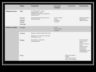 Órgão      Nemátodos                                   Larvas de               Tremátodos            Protozoários
                                                                          Cestodos



 Parasitas Teciduais
Sistema nervoso    Olho



                   Cérebro
                              T. Californmiensis) –ovinos
                              Thelazia gulosa – vacas
                              (spirorida) no fundo saco conjuntival e
                              conduto lacrimal

                              Parelaphparelaphostrongylus teneuis         Cerebro ovelhas e                             Organismo similar a
                              (Metastrongylidae)                          cabras:                                       Sarcocustis no
                   Medula                                                 T. Multiceps                                  cérebro das vacas
                   espinal                                                (Taenidae)

                   meninges

Sistema vascular   Coração                                                T. ovis,
                                                                          Taenia saginata
                                                                          (taenidae)

                   Artérias   Elaephora schneideri (filarioidea) ovino,

                              Elaephora poeli, Onchocerca armillata
                              (Filarioidea)- vacas

                   Sangue     Microfilarias de nematodos.                                                               Babesia bigemina,
                              S.labiatopapillosa                                                                        babesia bovios,
                                                                                                                        Babesia
                                                                                                                        divergens,Theileria
                                                                                                                        parva,
                                                                                                                        Theileria mutans
                                                                                                                        (piroplasmas)
                                                                                                                        Tryponosoma
                                                                                                                        melophagium (ovino9
                                                                                                                        (hemoflagelado)


                   Veias                                                                      Schistosona nattheei –
                                                                                              ovelhas,
                                                                                              Schistosona mansoni –
                                                                                              vacas- (schissomatidae)
 