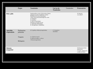 Órgão        Nemátodos                                        Larvas de       Tremátodos   Protozoários
                                                                             Nemátodos

Pele e pêlo                 Stephanofilaria stilesi (Filarioidea) filarias                                B. Besnoiti
                            pequenas na pele do abdómen ventral;                                          (coccidios9
                            Parafilaria bovicola (Filarioidea)
                            Vacas e provocam hemorregias de verao
                            O. Gutterosa,
                            O. Lienalis,
                            O. Bovis (Filarioidea)
                            Encintra-se na pele da vaca
                            E. Schneideri (filarioidea),
                            R. Strongiloides ( rhabditida)



Aparelho       Parênquima   M. Capillaris (Metrastrongyloidea)               E. Granulocis
                                                                             (taenidae)
respiratório   pulmonar


               Traqueia     d. viviparus,(vacas)
                            D. filaria,(ovelhas e cabras)
                            /Trichostrongyloidea)
               Brônquios



Sistema                                                                                                   Trishomonas foetus
                                                                                                          (flagelados)
urogenital
                                                                                                          T. Gondi –placetas de
                                                                                                          ovelhas de aborto
 