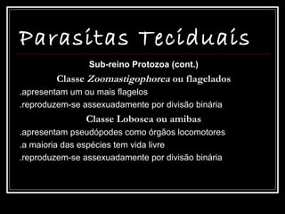 Parasitas Teciduais
                Sub-reino Protozoa (cont.)
        Classe Zoomastigophorea ou flagelados
.apresentam um ou mais flagelos
.reproduzem-se assexuadamente por divisão binária
                Classe Lobosea ou amibas
.apresentam pseudópodes como órgãos locomotores
.a maioria das espécies tem vida livre
.reproduzem-se assexuadamente por divisão binária
 