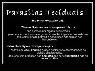Parasitas Teciduais
                  Sub-reino Protozoa (cont.)

          Classe Sporozoea ou esporozoários
             .não apresentam órgãos locomotores
.possuem um conjunto de organelas complexo apical ou conóide que
       têm como função permitir a penetração nas células dos
                           hospedeiros

>têm dois tipos de reprodução:
  .assexuada esquizogonia divisão nuclear não acompanhada da
                       divisão citoplasmática
 .sexuada com produção dos oocistos que por esporogonia dão os
                            esporozoítos
 