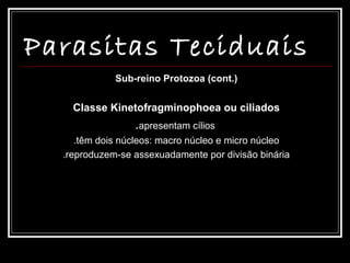 Parasitas Teciduais
             Sub-reino Protozoa (cont.)


    Classe Kinetofragminophoea ou ciliados
                 .apresentam cílios
     .têm dois núcleos: macro núcleo e micro núcleo
  .reproduzem-se assexuadamente por divisão binária
 